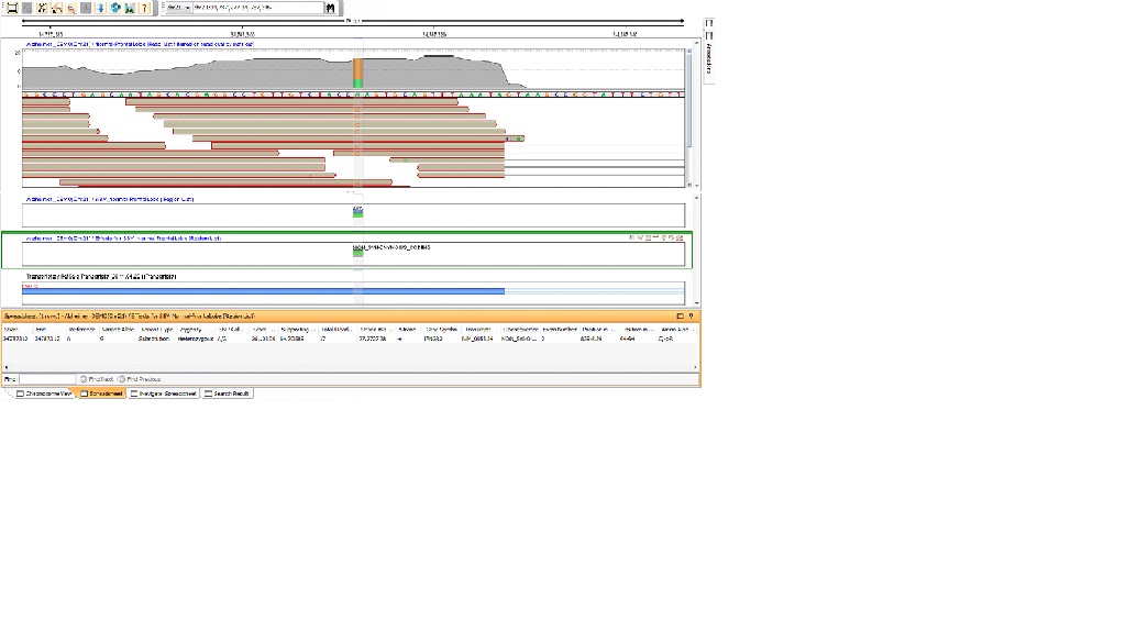 SNP effects as viewed in the Genome Browser