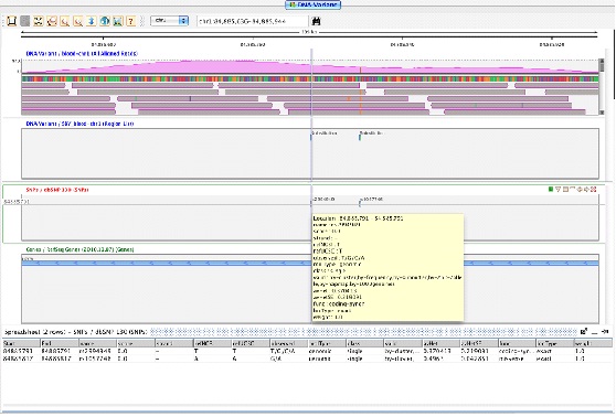 Viewing SNPs in the Strand NGS Genome Browser