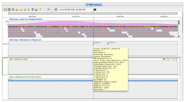 Decibel score as viewed in the Genome Browser