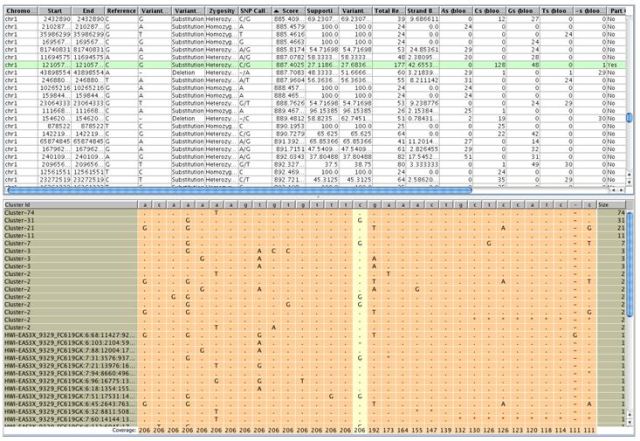 SNP Variant Support View