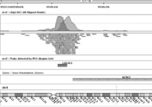 ChIP-Seq1.jpg