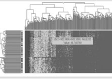 DNA-Seq1.jpg