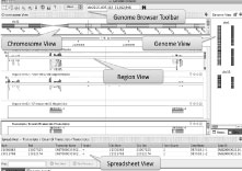 Genome-Browser-Overview-1.jpg